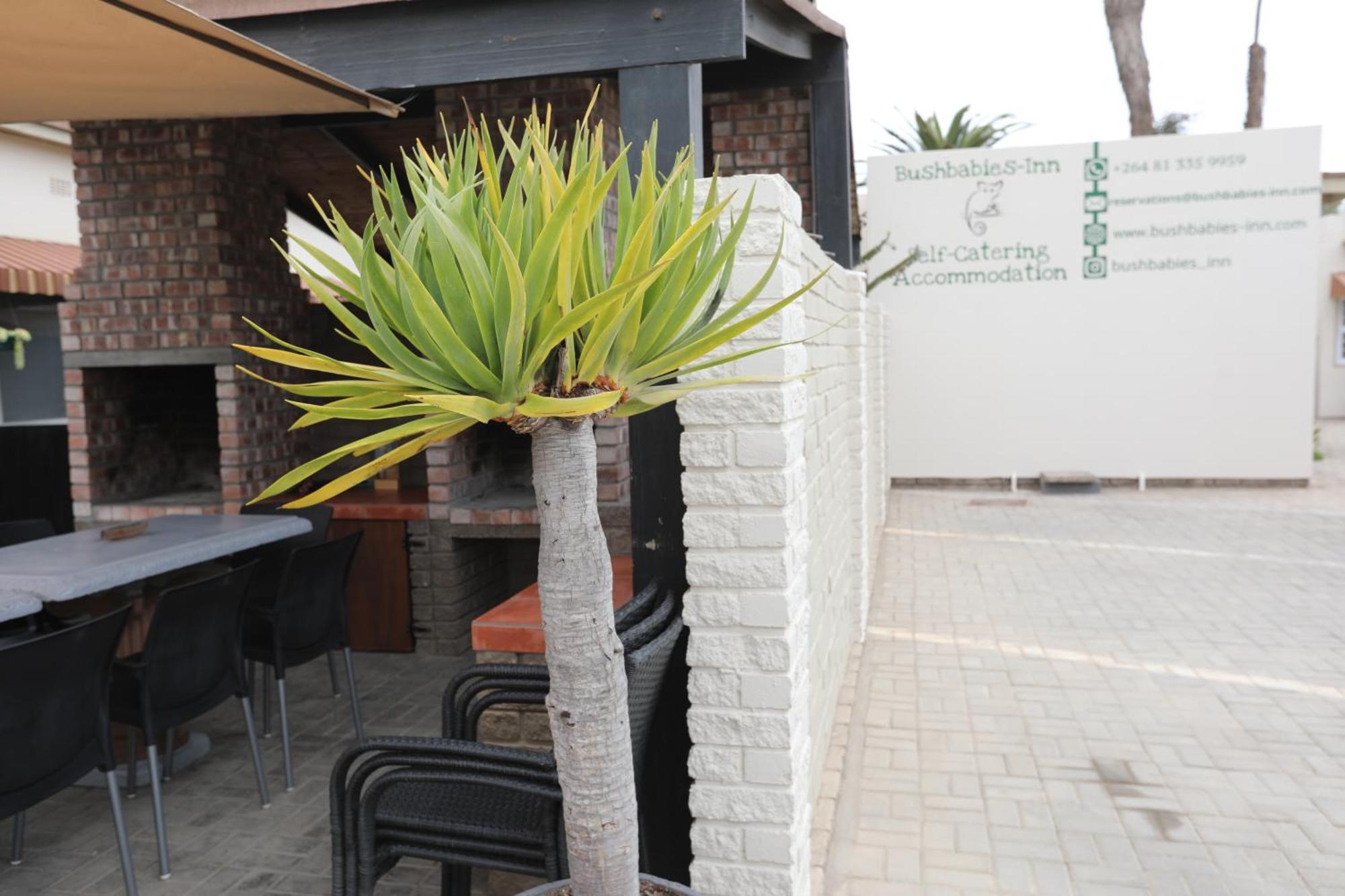 Bushbabies-Inn Self-Catering Accommodation Swakopmund Exterior photo